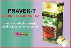 Pravek T